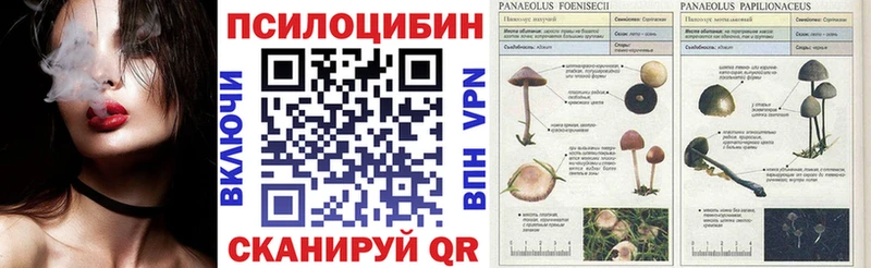 нарко площадка наркотические препараты  Менделеевск  Галлюциногенные грибы мухоморы  магазин продажи наркотиков 